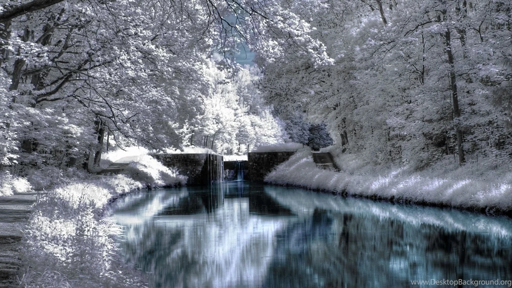 Winter Wallpapers Pictures