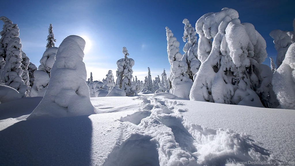 Winter Coming 1920x1080 Wallpapers, 1920x1080 Wallpapers ...