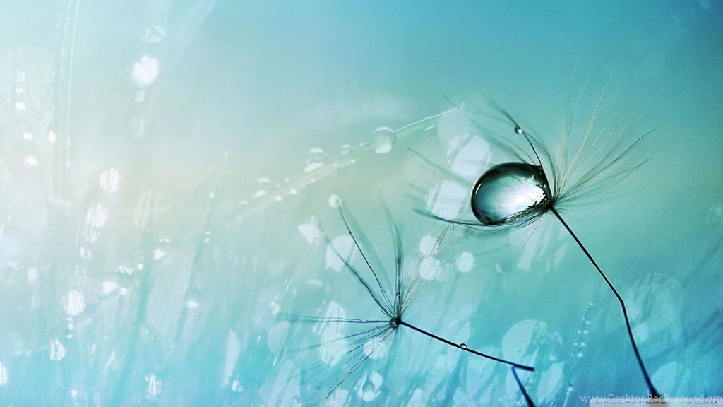 Winter Wallpapers 86