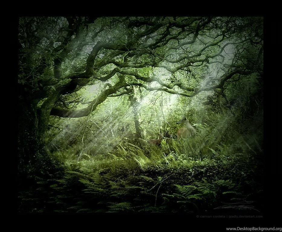 Gothic backgrounds 239 1.jpg Photo By Shanky2710