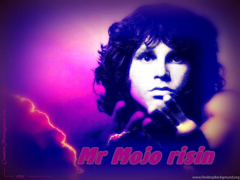 Mr Mojo Risin The Doors Wallpapers (31153095) Fanpop