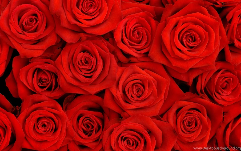 Red Desktop Wallpapers