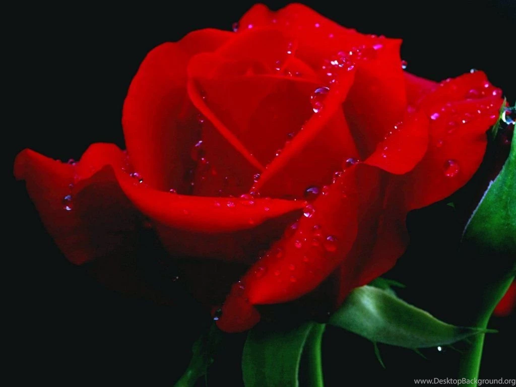 White Metallic Wallpapers 7958 HD Wallpapers