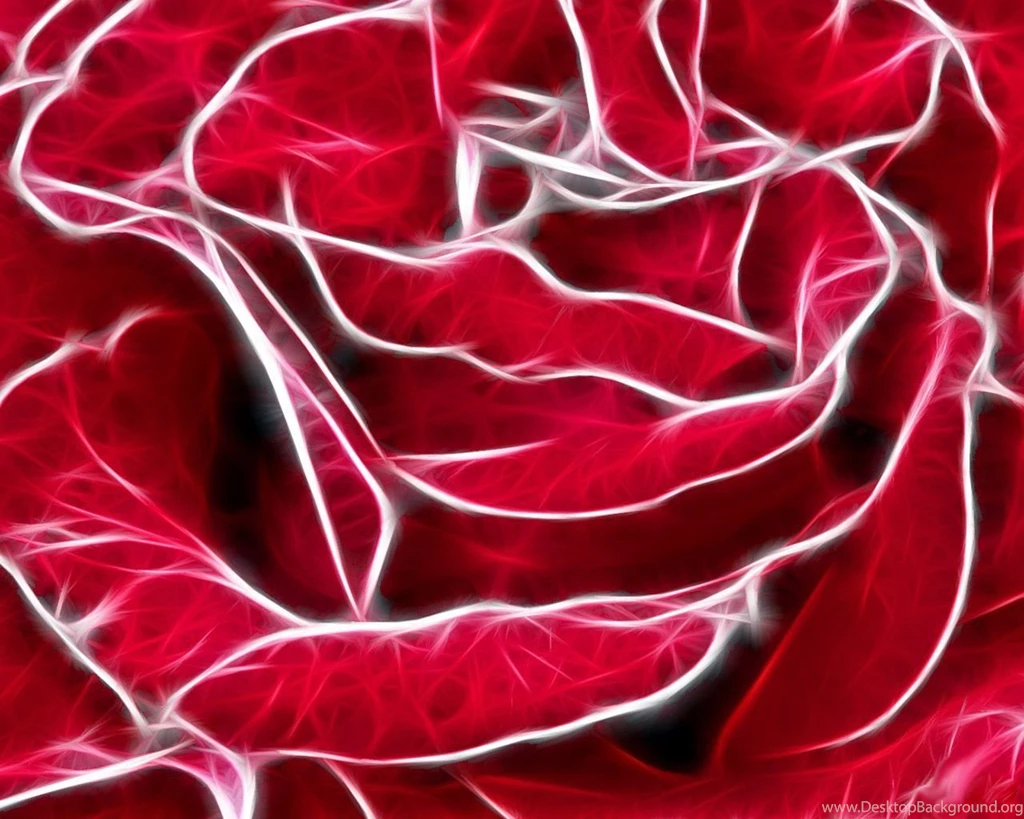 Desktop Wallpapers · Gallery · Windows 7 · Red Rose   Backgrounds ...