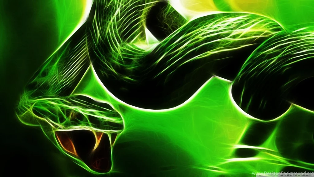 Snake Wallpaper Backgrounds 234 Widescreen