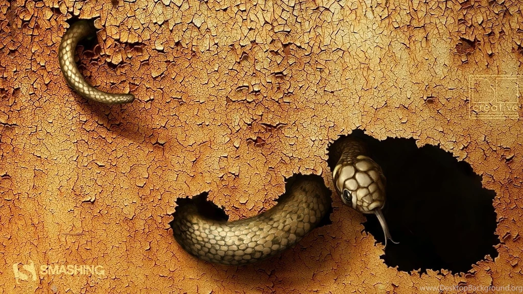 Snake Wallpapers Pictures 102 Backgrounds