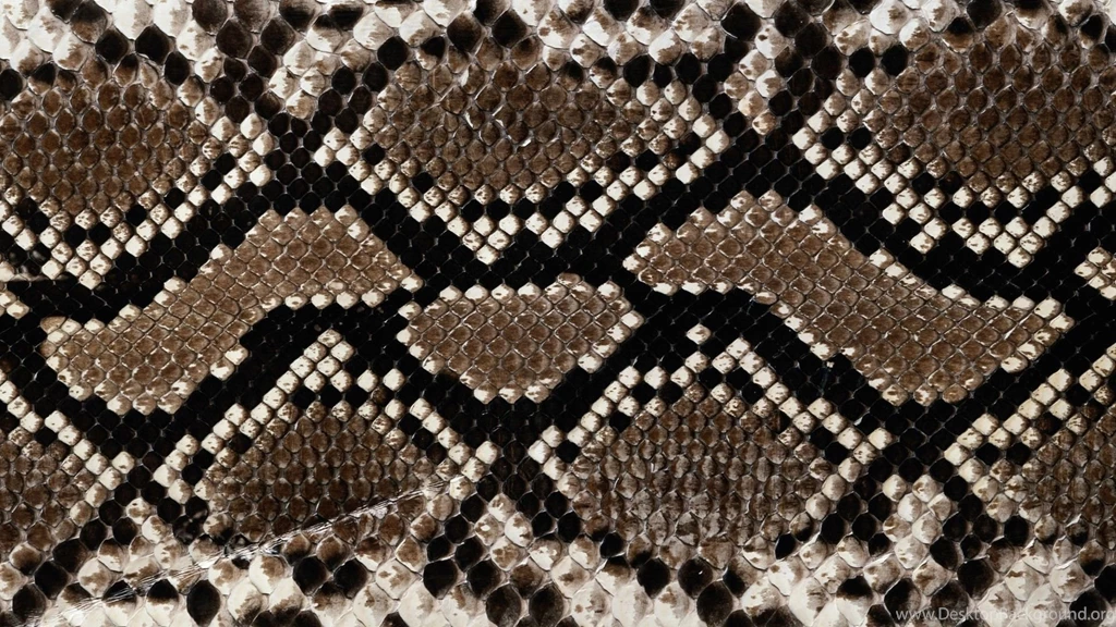 Download Wallpapers 1920x1080 Background, Snake, Texture, Line Full ...