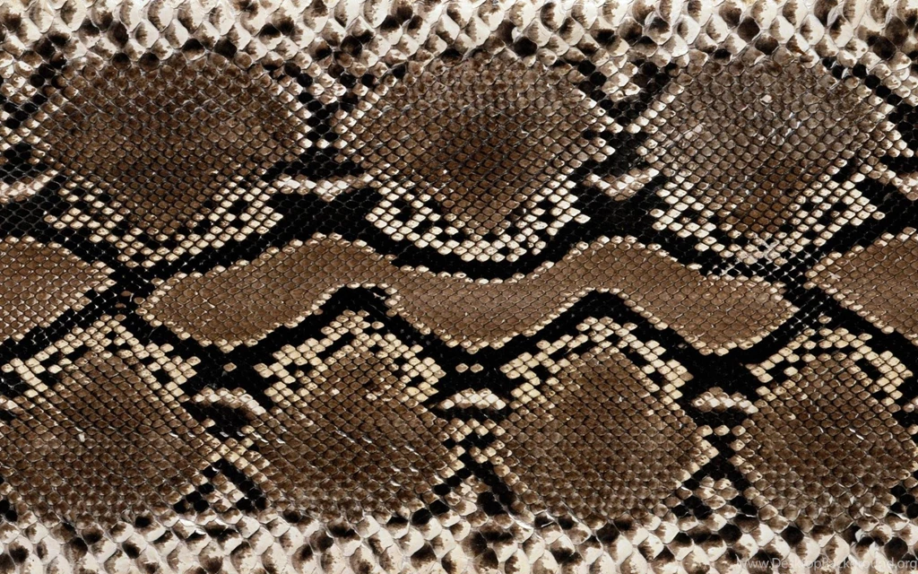 Download Texture: Leather Snakes, Download Background, Texture ...