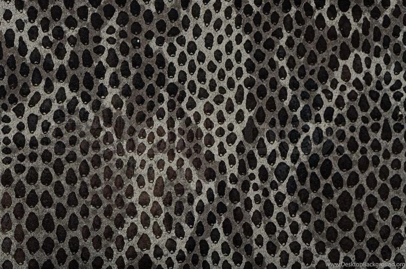 Snake Skin Backgrounds Stock Photo