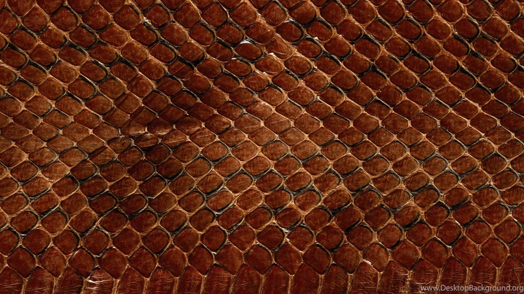 Download Wallpapers 2560x1440 Texture, Leather, Snake, Scales ...