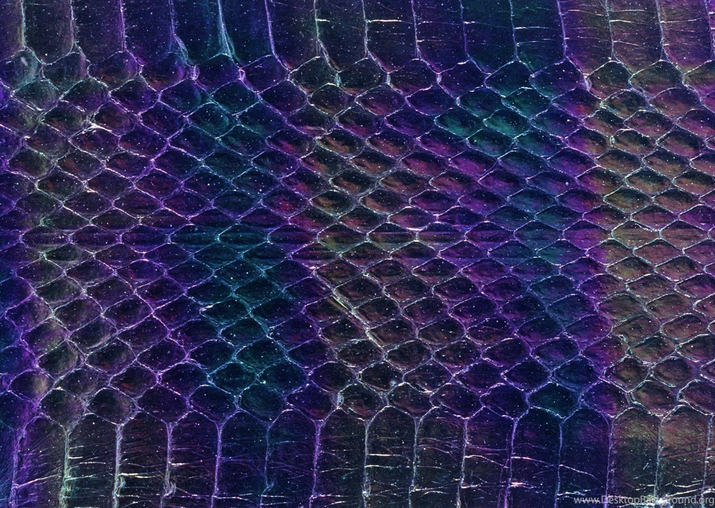 Snake Skin Backgrounds Forty one