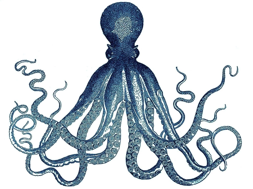 Splendid Minta: Get The Look: Octopus Triptych