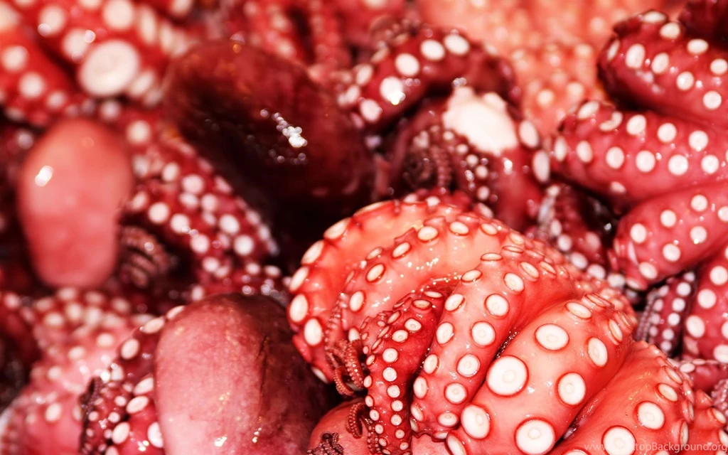 Little, Octopus, Funny (