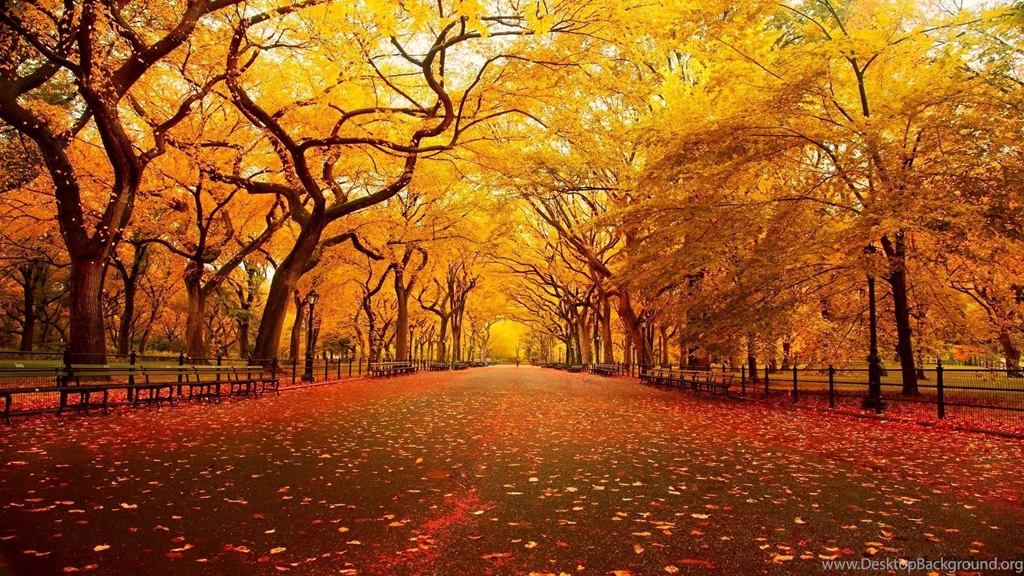 Central Park, New York, Autumn