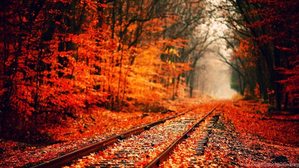 Autumn HD Wallpapers And Backgrounds