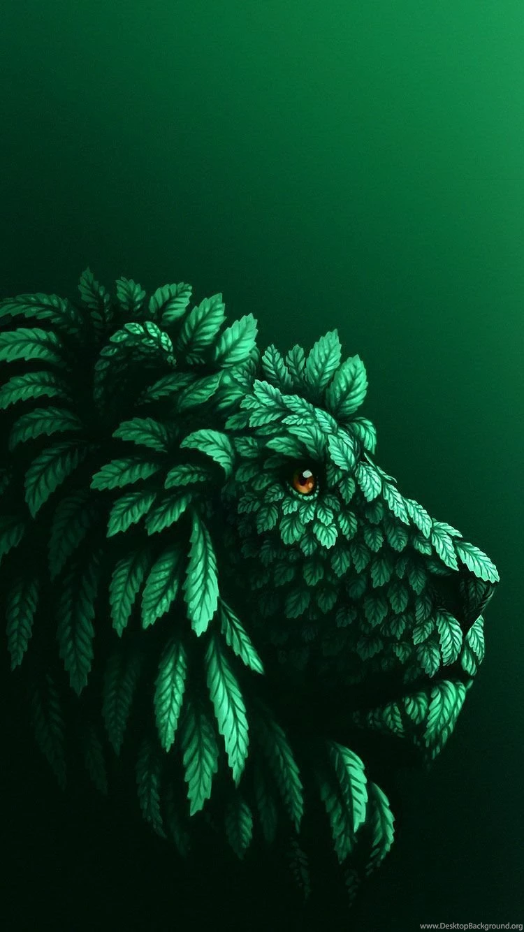 Beautiful iPhone six Wallpaper.jpg