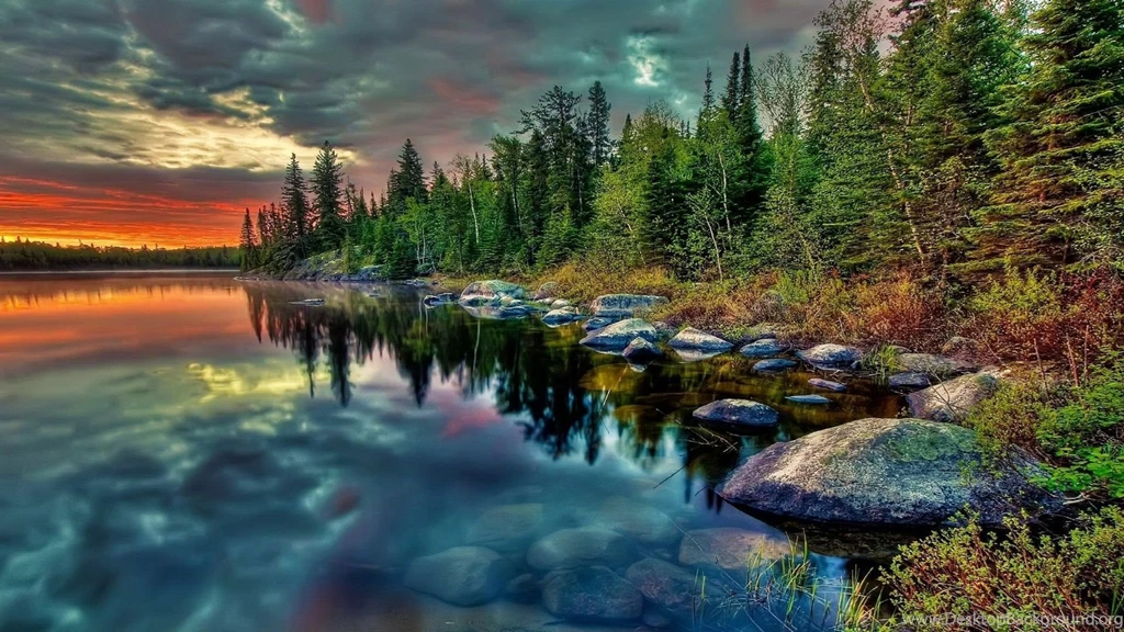 Nature Wallpaper Backgrounds