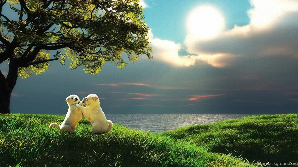 Full HD 1080p Animals Wallpapers Desktop Backgrounds HD Downloads