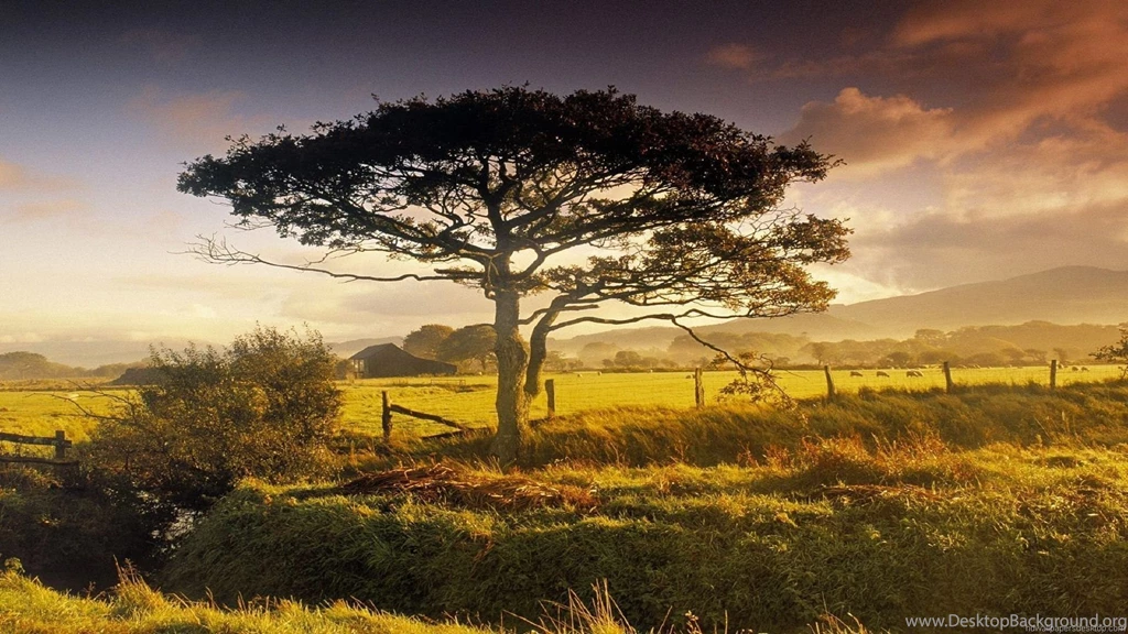 Nature Wallpapers HD 1920×1080 Wallpapers With Photo Of Nature ...