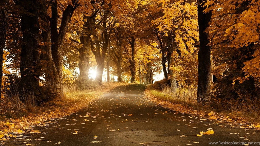 Autumn HD Wallpapers