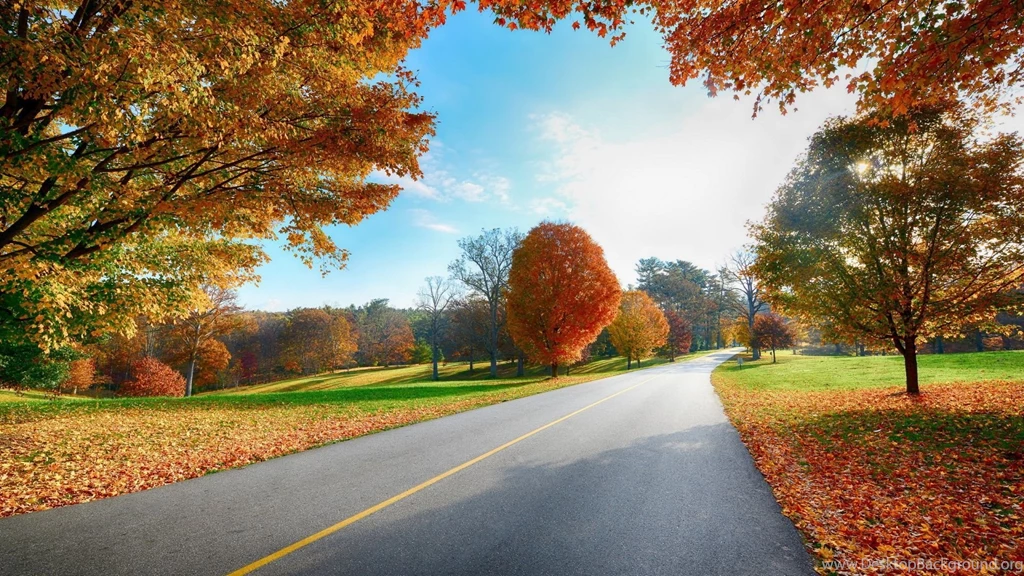 1920x1080 Autumn Road Nature Scenery Wallpapers