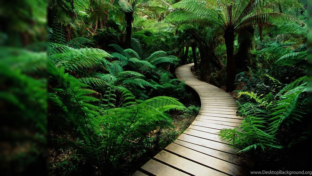 Download Computer Nature Wallpapers Free