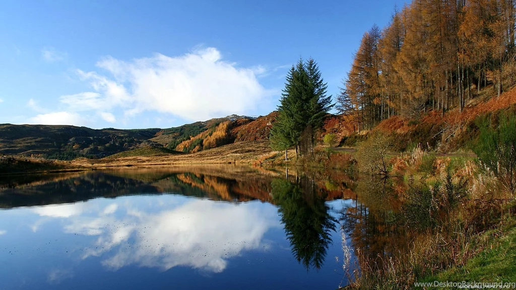 30 Best Nature Wallpapers