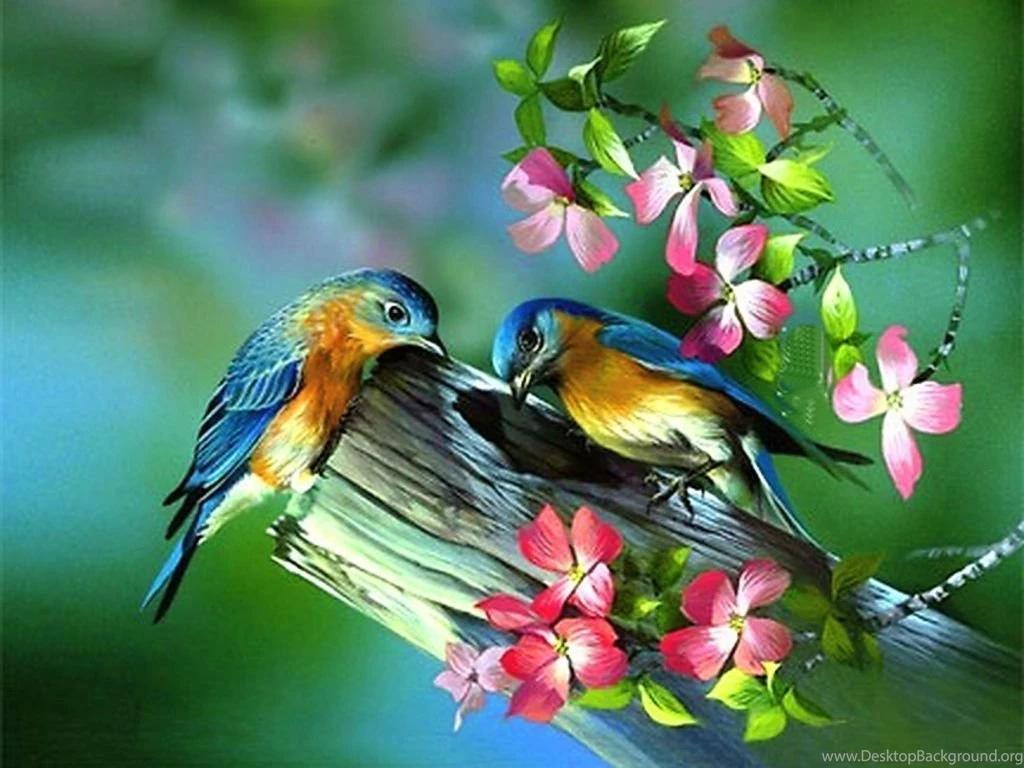 Spring Wallpapers And Screensavers 54951 Desktop Wallpapers