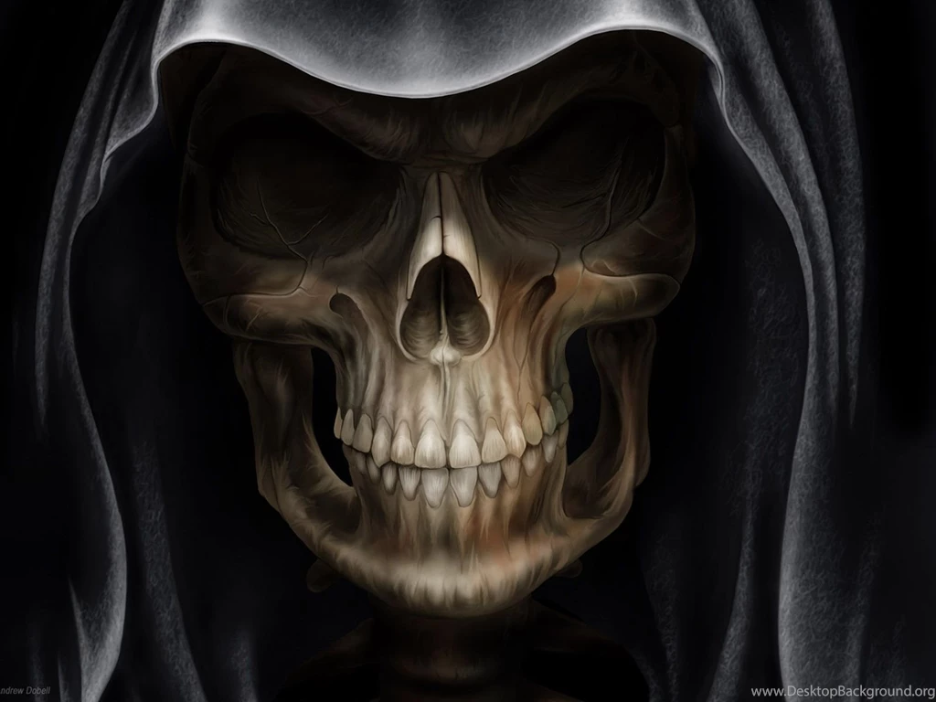 Cool Skull Wallpapers All Wallpapers New