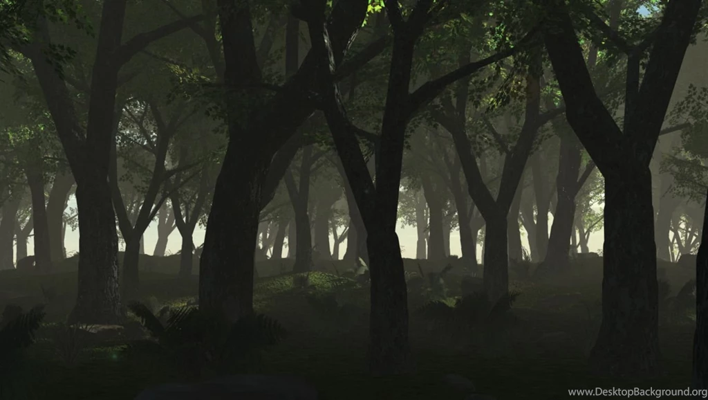 Dark Woods Wallpapers