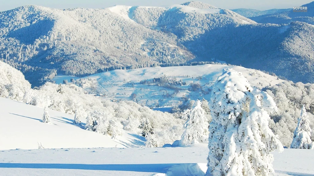 Snowy Mountain Top Wallpapers Nature Wallpapers