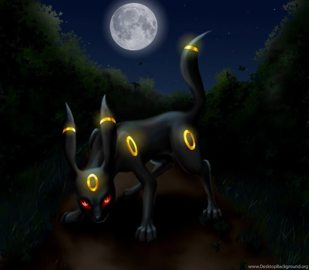 Umbreon Wallpapers   Umbreon Photo (6054464)   Fanpop