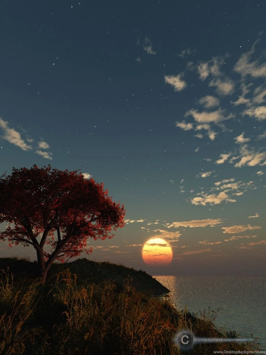 Vue 6 Render, Vertical Resolutions, 3d Wallpaper Backgrounds ...