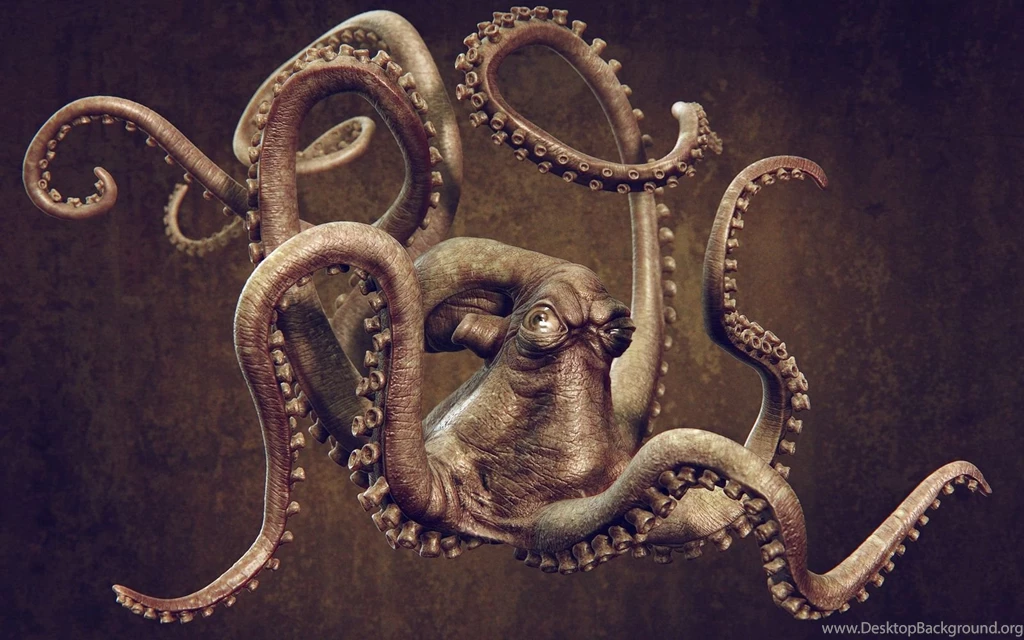 Octopus Computer Wallpapers, Desktop Backgrounds