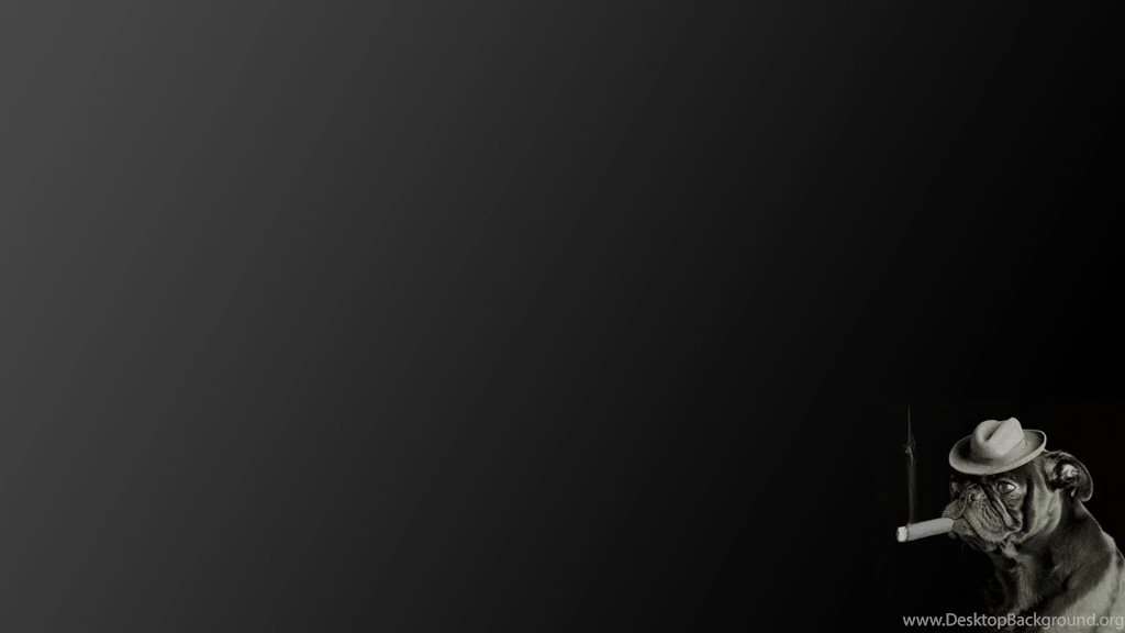 CIGARS Cigarette Tobacco Bokeh Smoke Smoking Cigar Wallpapers ...