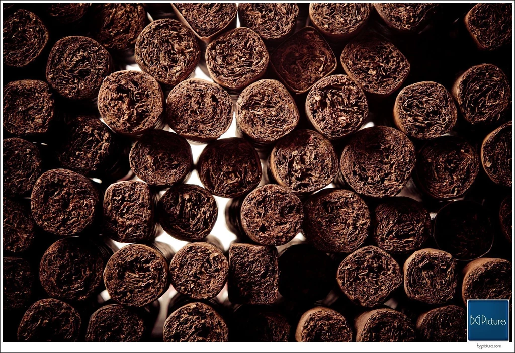 Cigar Art Cigar Wall CigarObsession The Best Cigar Review Videos