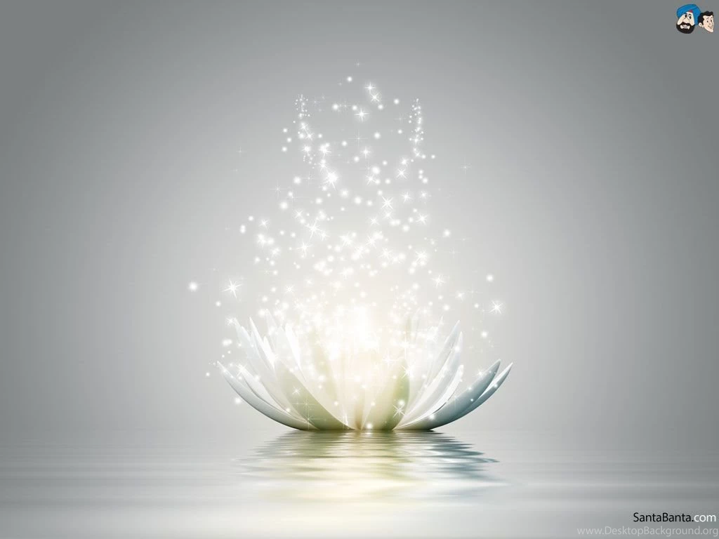 Lotus Wallpapers