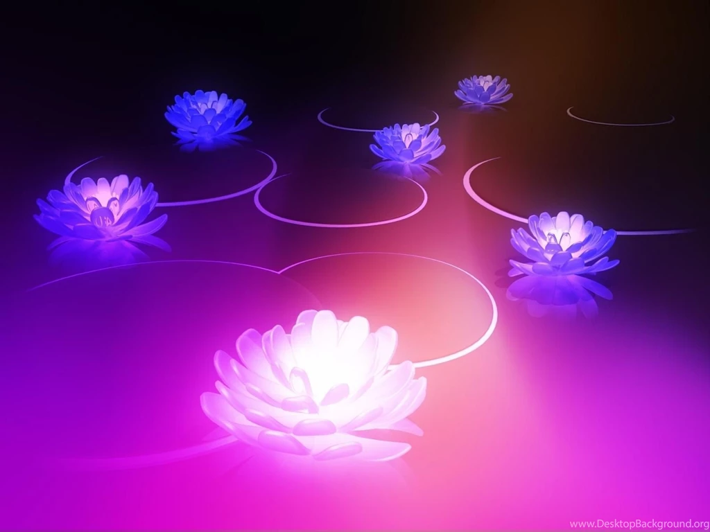 Lotus Flower Meaning Wallpapers Free Lotus Flower Meaning ...