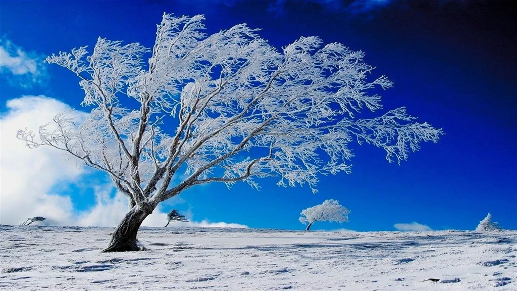 Nature Winter HD Desktop Wallpapers
