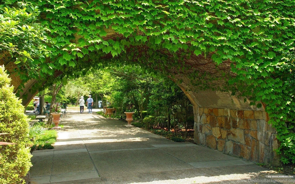 Garden Wallpapers