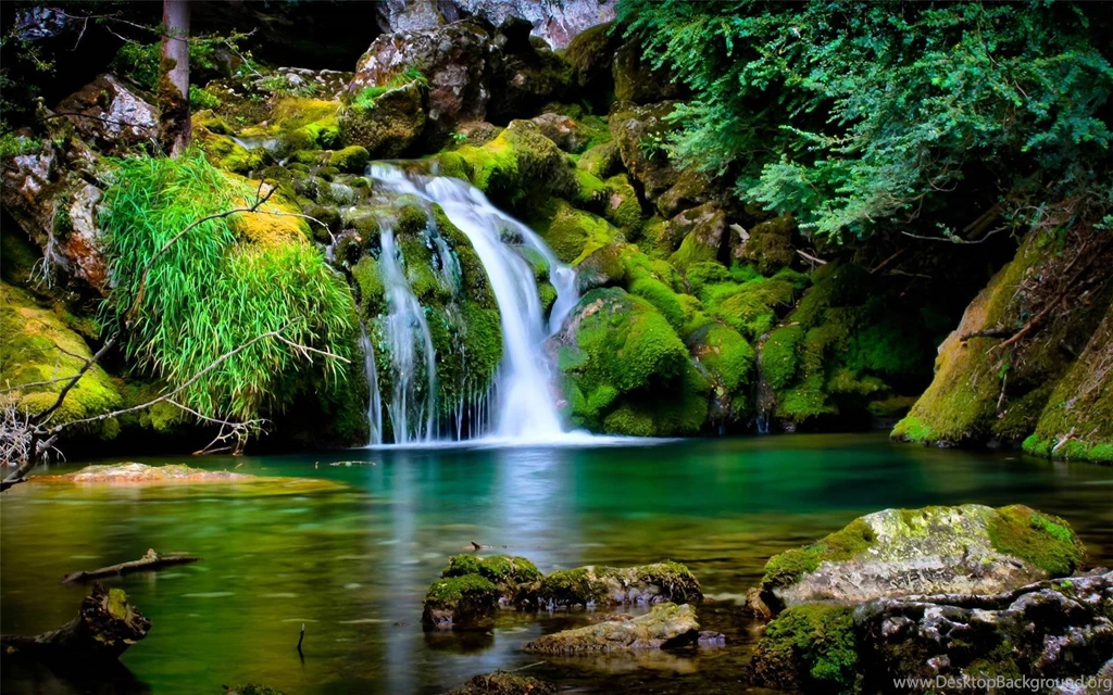 Garden Wallpapers HD Desktop Download Picture • IPhones Wallpapers