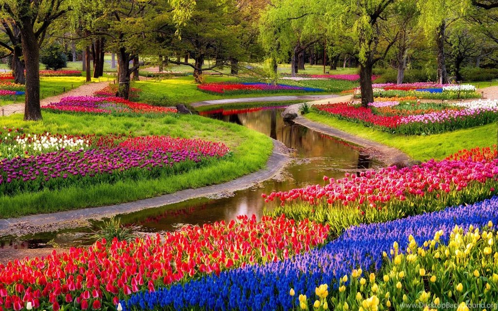 Flower Garden Wallpapers