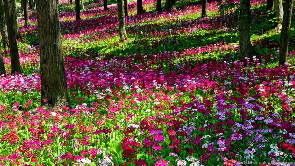 Flower Garden Wallpapers