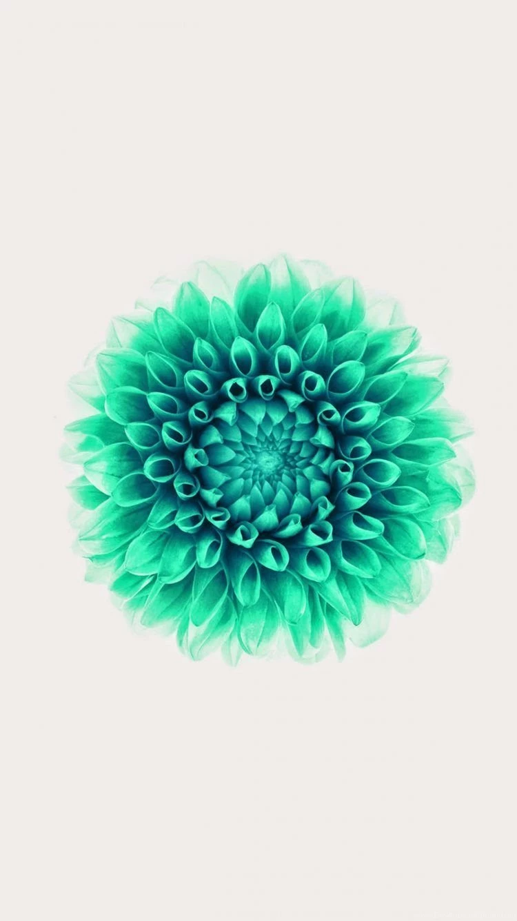 iPhone 6 Stock Wallpapers