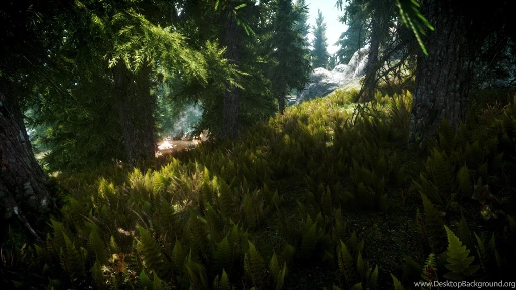 The Elder Scrolls V: Skyrim Wallpapers