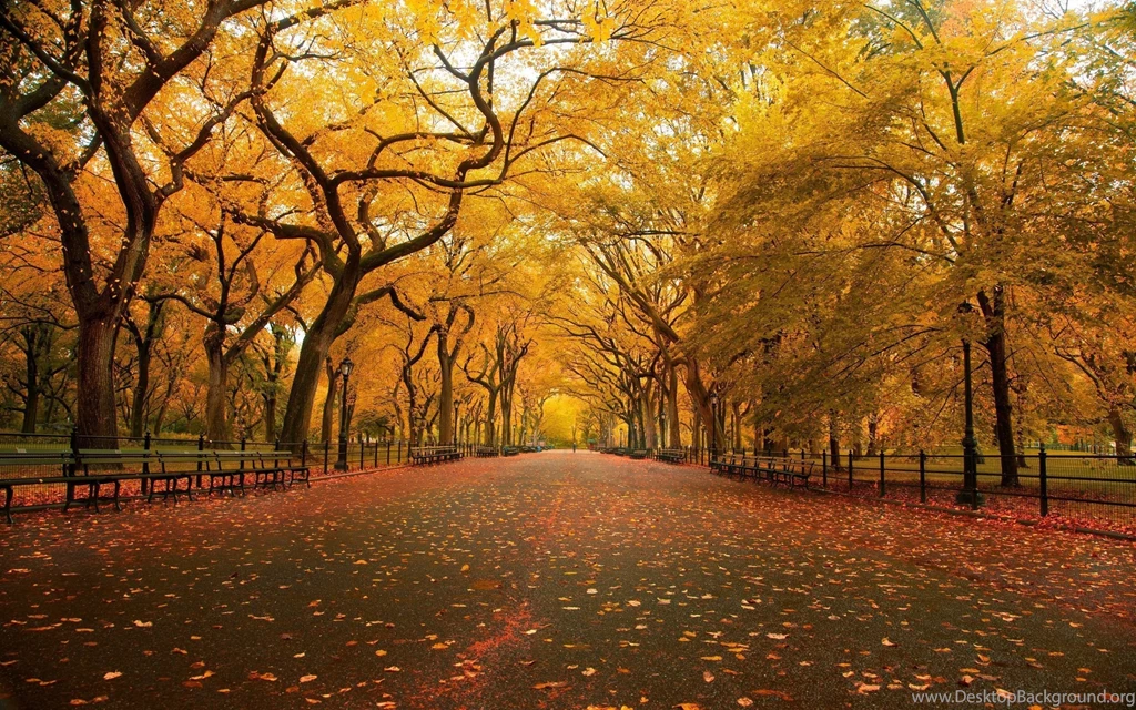 Nature Backgrounds 3133 Wallpapers High Definition Full Size ...