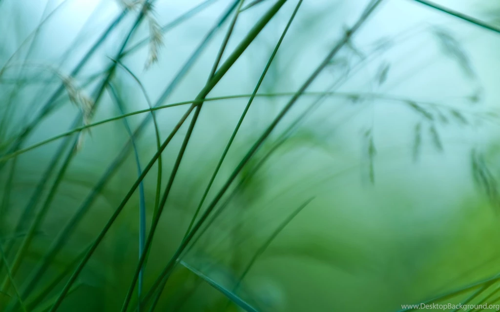 Desktop Backgrounds 6409 2560 X 1600 WallpaperLayer.com