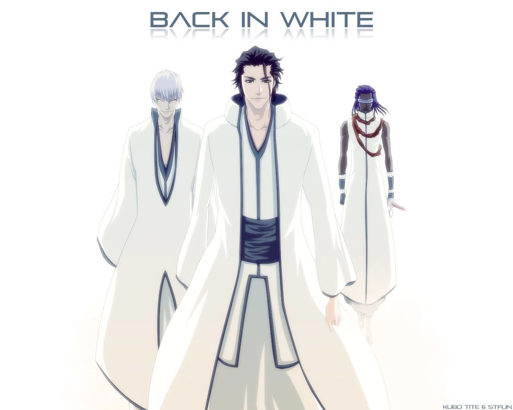 Back In White Epic Bleach Anime Wallpapers (21040651) Fanpop