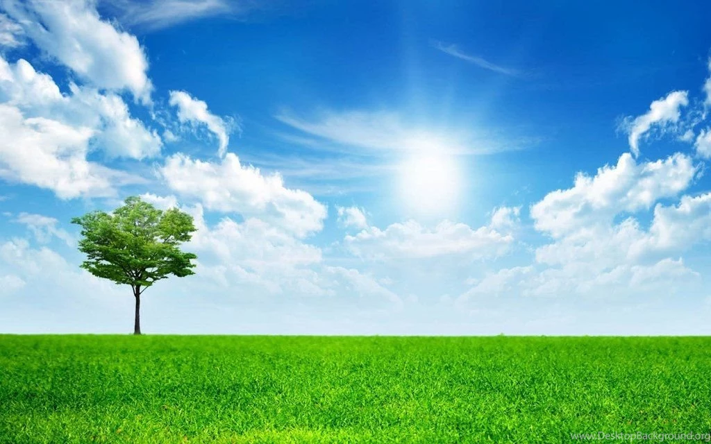 Sunny Day Nature Backgrounds