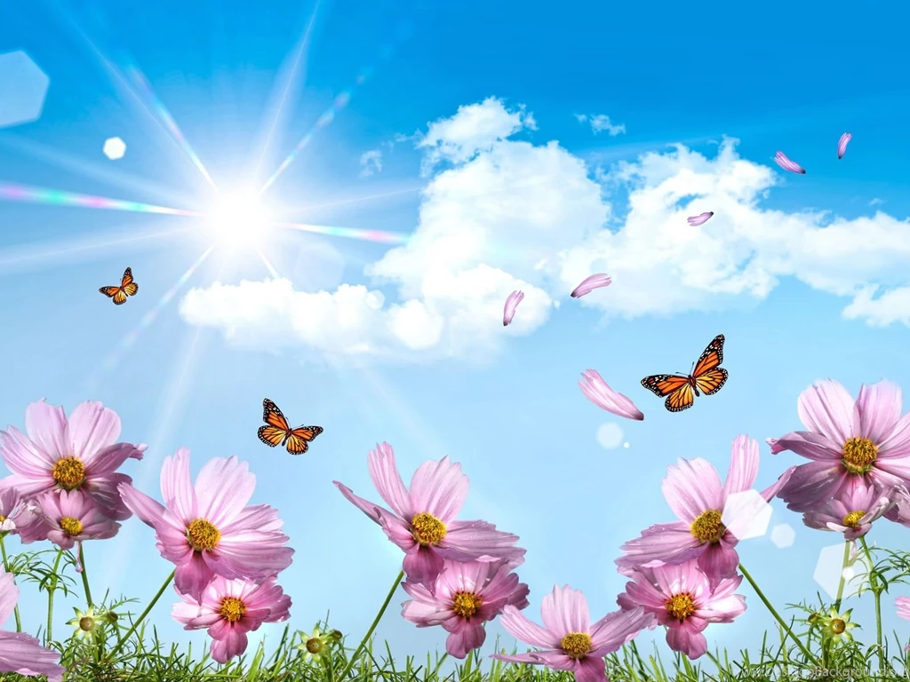 The Best Summer Desktop HD Wallpapers